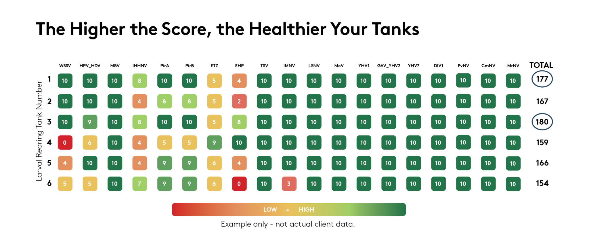 MultiScore tanks graphic